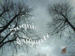 Sogni briganti