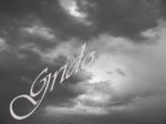 Grido