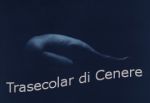 Trasecolar di Cenere