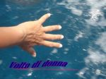 Volto di donna  