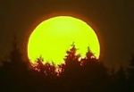 Il sole non ha bandiera