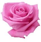 Sapone alle rose