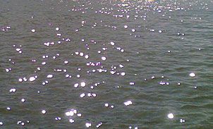 Gocce di luce