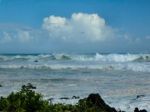 Mare