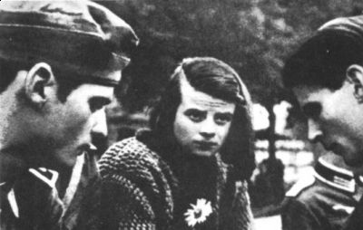 Die weiße Rose