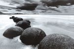 Il valore del dubbio