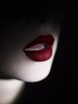 Nel cuore della notte