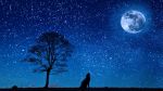 Notte dinsonnia
