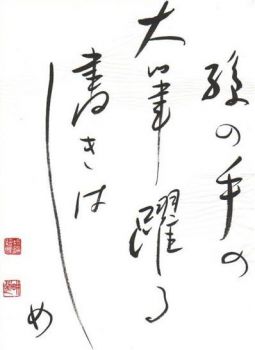 Leggendo haiku