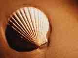 Un sogno improbabile  