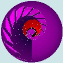 Circolarit del comprendere