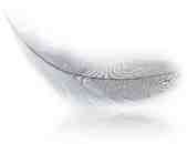 Dove abita l'amore