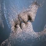Le bugie dell'amore