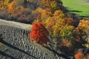 Questo mio ottobre