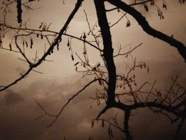 Giunto l'autunno