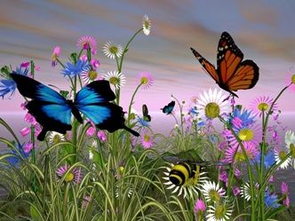 Or non pi Butterfly volava