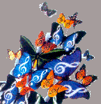 Farfalle di felicit