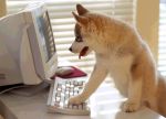 Un cane troppo intelligente