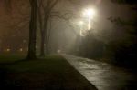 Plumbeo autunno tra sfumature di grigio