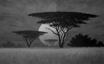 Anni di ricordi in Africa