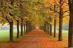 Autunno
