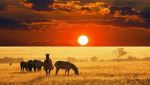 Savana
