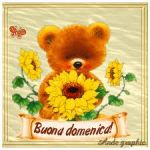 Domenica mattina