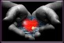 Cuore inaridito
