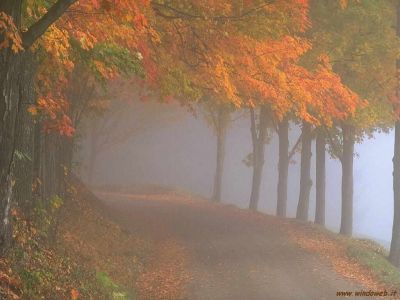 Vivo il mio autunno