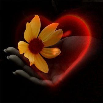 Un amore con le ali