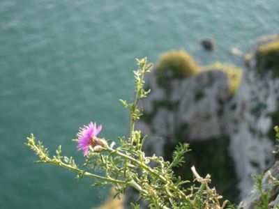 Tesa tra gli abissi e le vette  