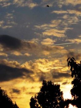 Guardando il cielo