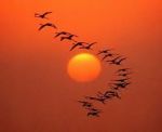 Ultimo sole