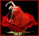Petali di rose mi sfiorano il cuor  