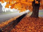 E' ottobre  