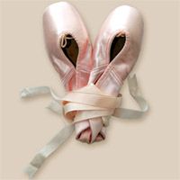 Il cigno