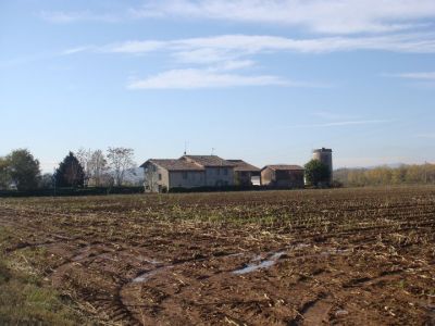 Cascinale  