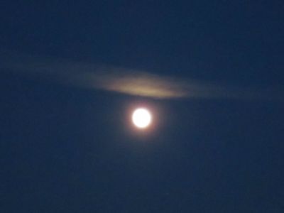 Notte di luna