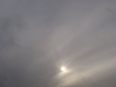Nebbia in autostrada