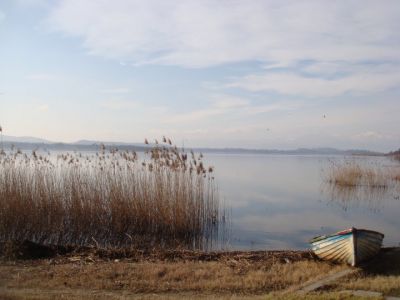 Quello che resta