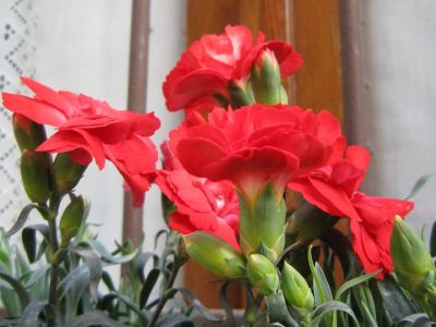 1 Maggio
