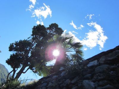 Cielo pulito