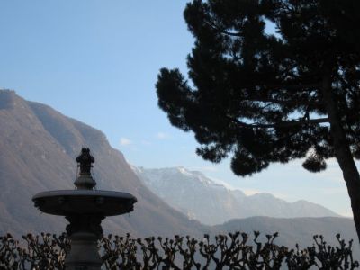 Cartolina