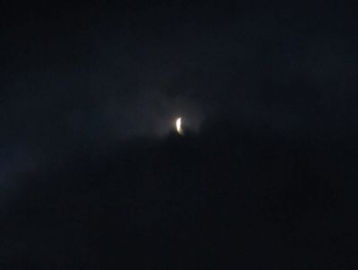 Luned  