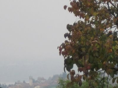 Malumore  