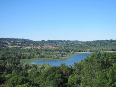 Dall'alta collina  