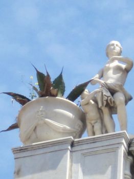 L'invenzione rosa  
