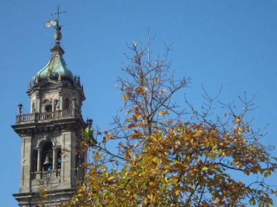 Fiorisce al cielo