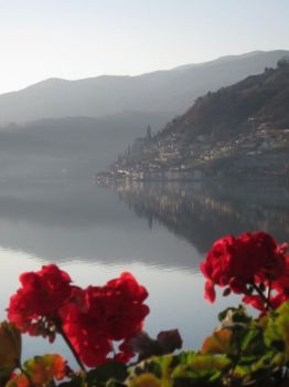 Venivi qui  