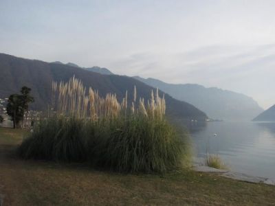 Abbracciati  